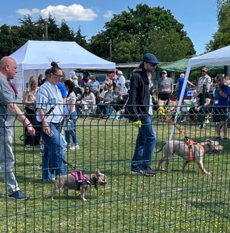 Show Ring Fencing 2